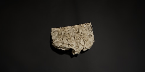 Shorts aus Seide mit Print