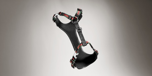 Extra-small padded pet harness