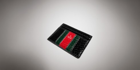 Web Trademark python card case