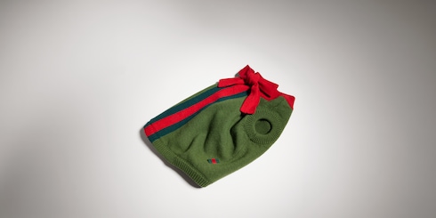 Wool pet sweater with Web