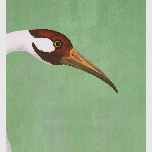 Tapete mit Reiher-Print