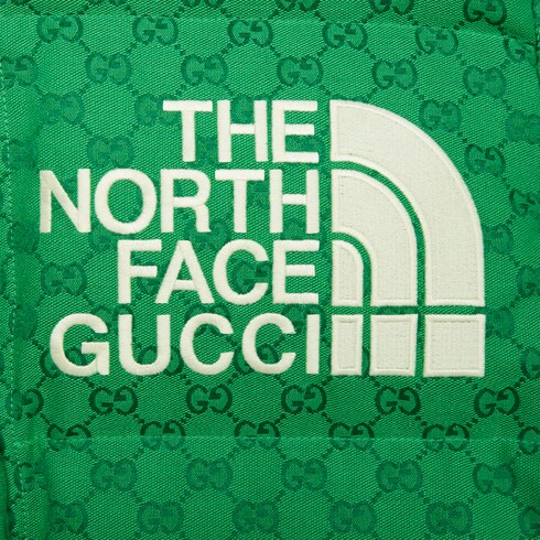 The North Face X Gucci Down Coat In Green And Dark Green Gucci Uk