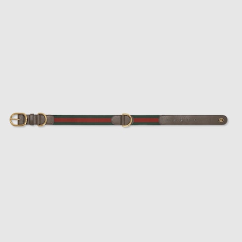 Large/extra-large pet collar
