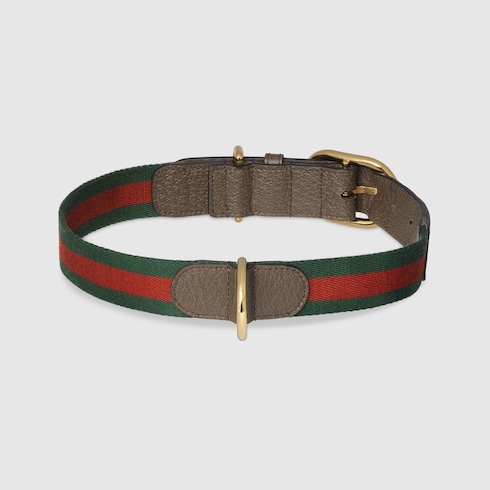 Large/extra-large pet collar