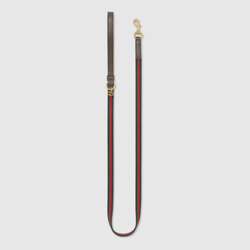 Laisse pour animal de compagnie taille XS 