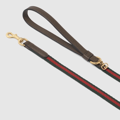 Guinzaglio per animali da taglia XS