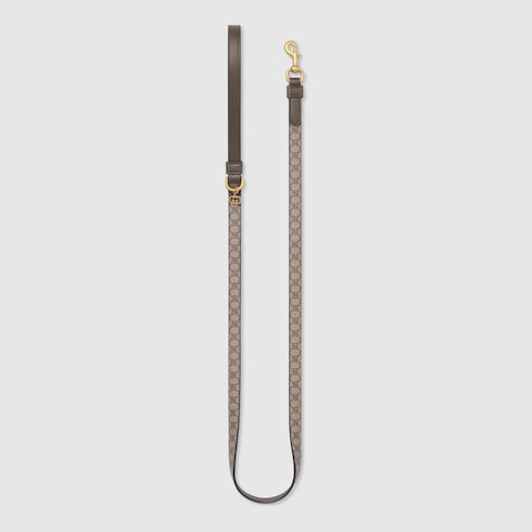 Laisse pour animal de compagnie taille XS 