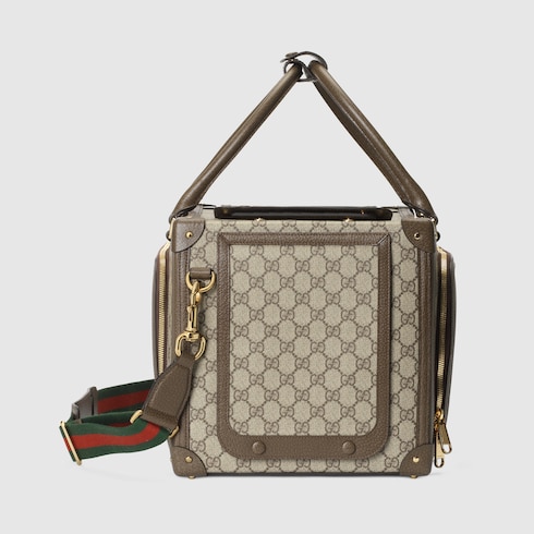 Small GG pet carrier with Web