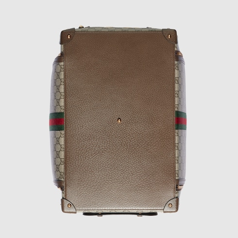 Small GG pet carrier with Web