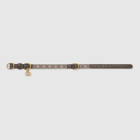 Extra-small pet collar