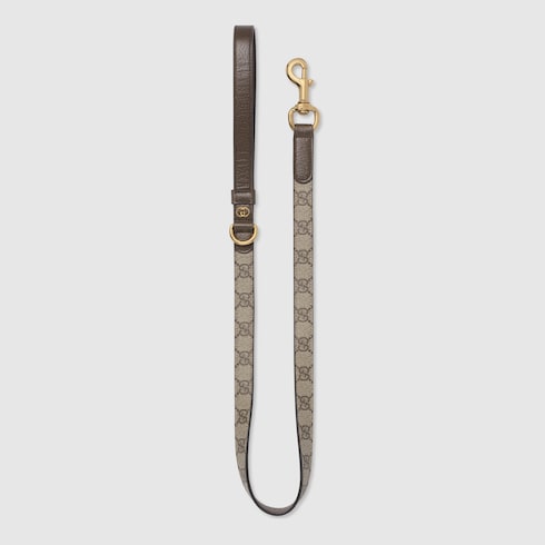 Laisse pour animal de compagnie taille S/M
