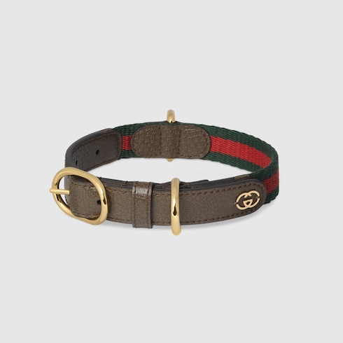 Small/medium pet collar