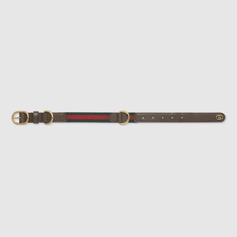 Small/medium pet collar Detail 2