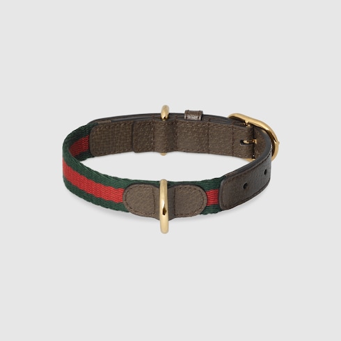Collar pequeño/mediano para mascotas