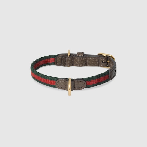 Collar extrapequeño para mascotas