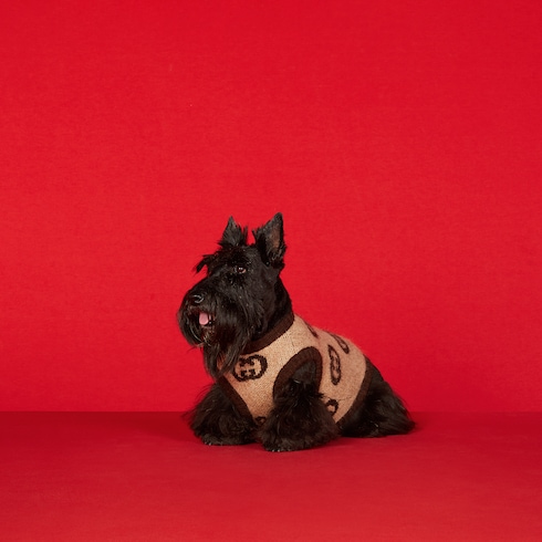 Pet wool blend sweater with Interlocking G