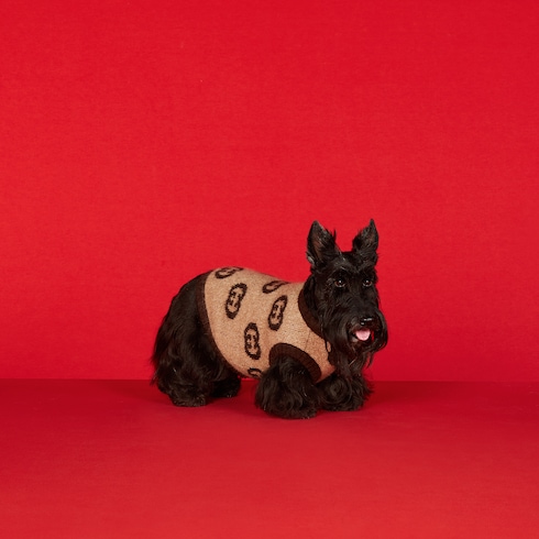 Pet wool blend sweater with Interlocking G