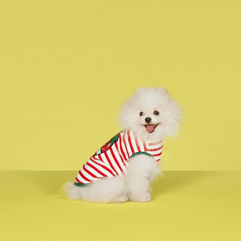 Pet cotton striped T-shirt