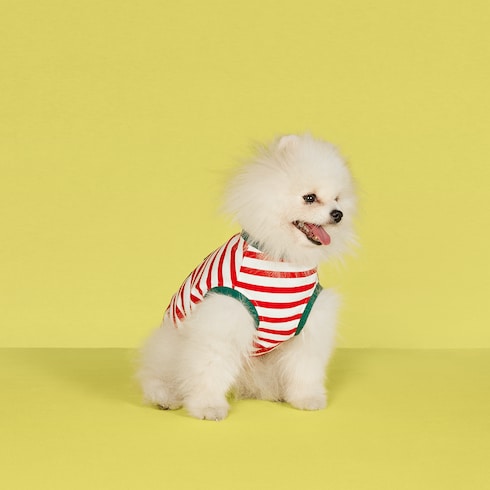 Pet cotton striped T-shirt