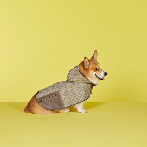 Pet GG coat in beige and ebony Supreme | GUCCI® US