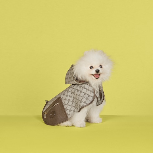 Pet GG coat