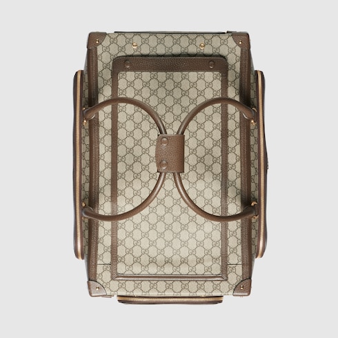 Pet carrier with Web