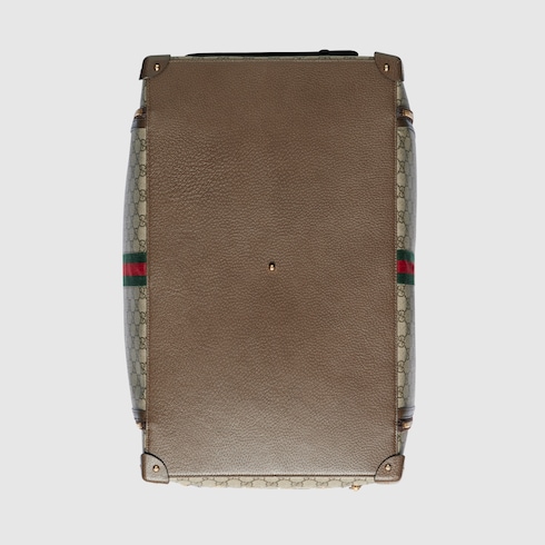 Переноска для питомцев с лентой Web