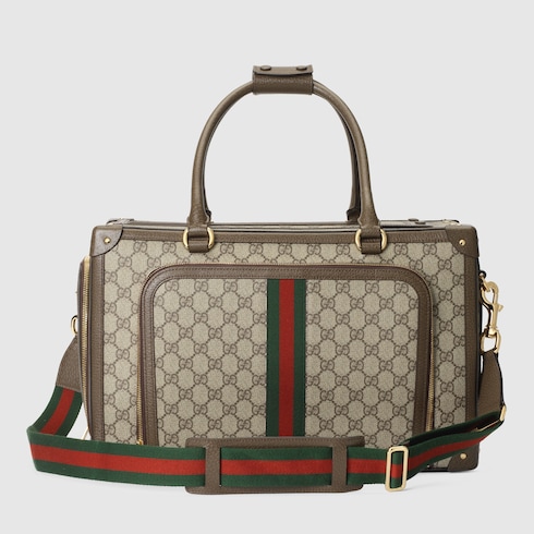 Panier de transport pour animal de petite taille avec bande Web