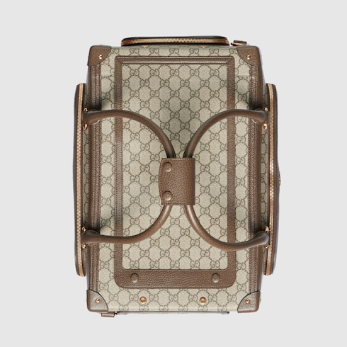 Panier de transport pour animal de petite taille avec bande Web