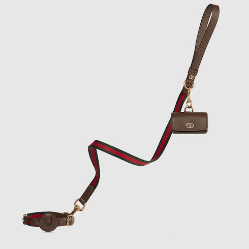 Small/medium pet collar Detail 4