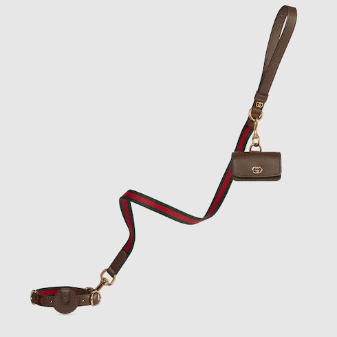 Small/medium pet leash Detail 3