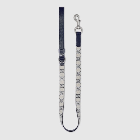 Small/medium pet leash