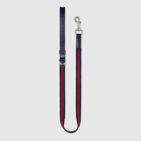Laisse pour animal de compagnie taille S/M