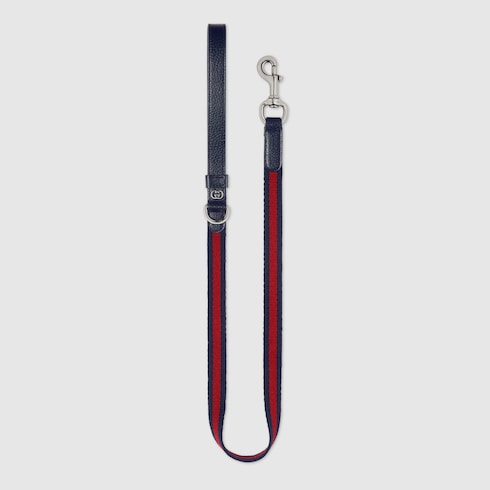 Small/medium pet leash