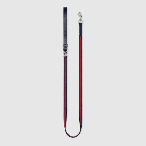 Laisse pour animal de compagnie taille XS