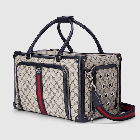 Small GG pet carrier with Web Detail 2