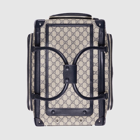 Small GG pet carrier with Web Detail 6