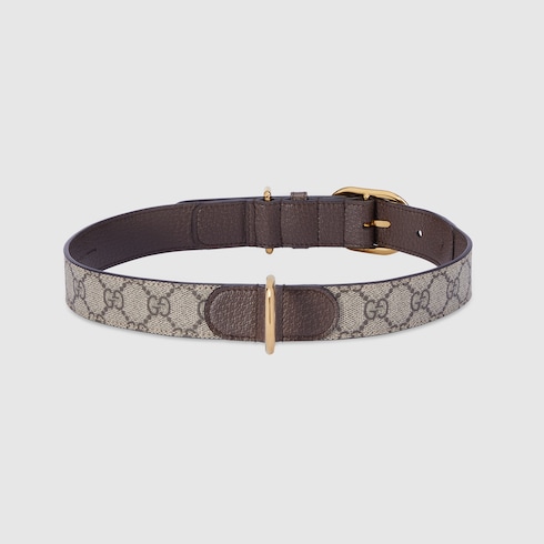 Collar grande/extragrande para mascotas