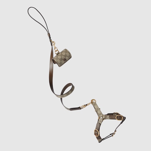 Small/medium pet harness