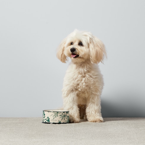 Small Herbarium print pet bowl