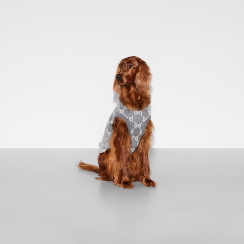Wool jacquard pet sweater