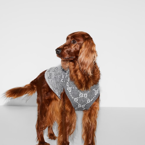 Wool jacquard pet sweater