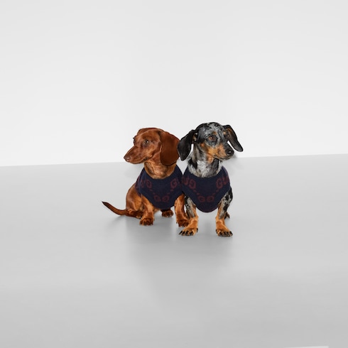Wool jacquard pet sweater