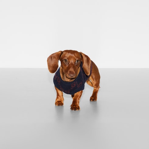 Wool jacquard pet sweater