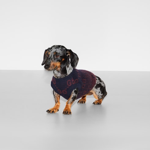 Wool jacquard pet sweater