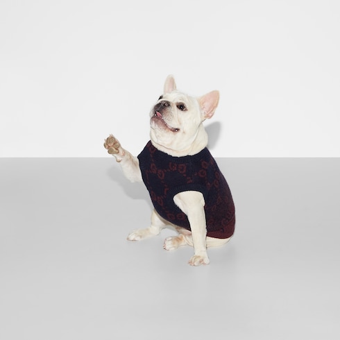 Wool jacquard pet sweater