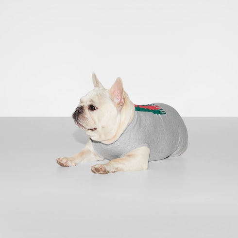 T-shirt in cotone stampato per animali domestici