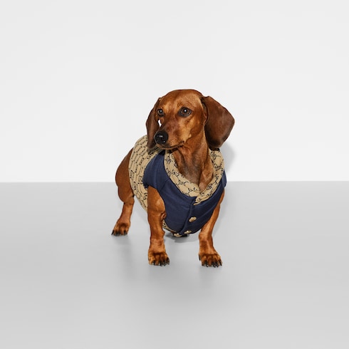 Reversible GG pet coat