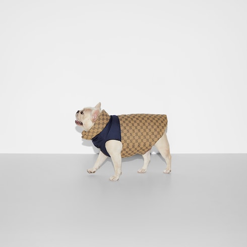 Reversible GG pet coat Detail 5