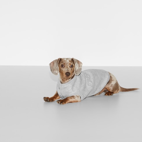 Embossed cotton pet sweatshirt